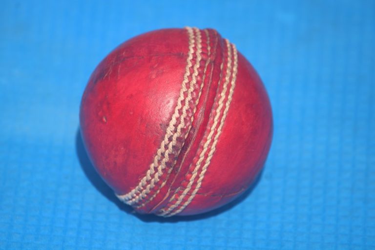 Experience the Thrill of Fantasy Cricket with Brad Gaming!